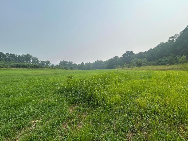 19300 Frampton Road NE, Frazeysburg, OH 43822 Photo 29