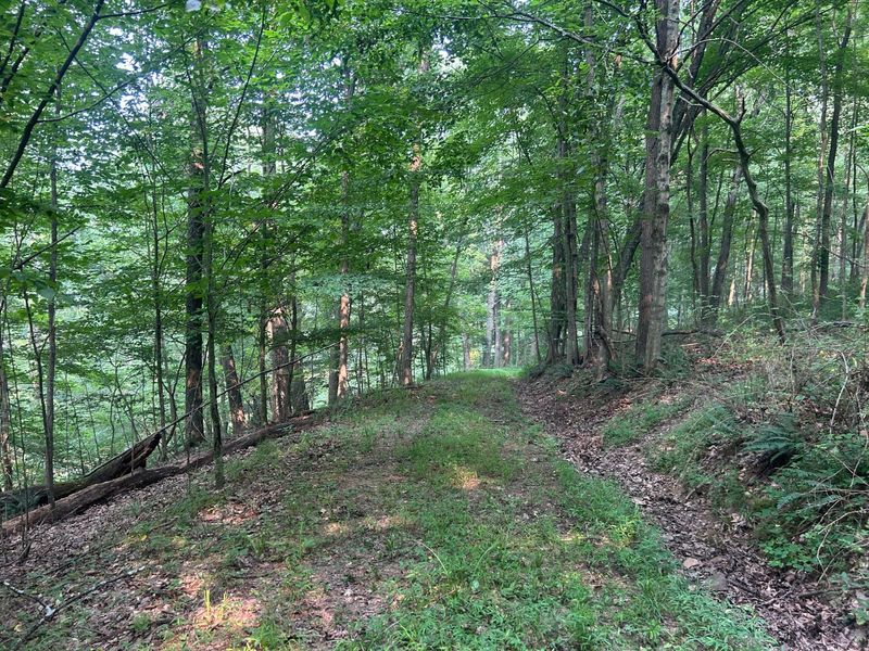 19300 Frampton Road NE, Frazeysburg, OH 43822 Photo 36