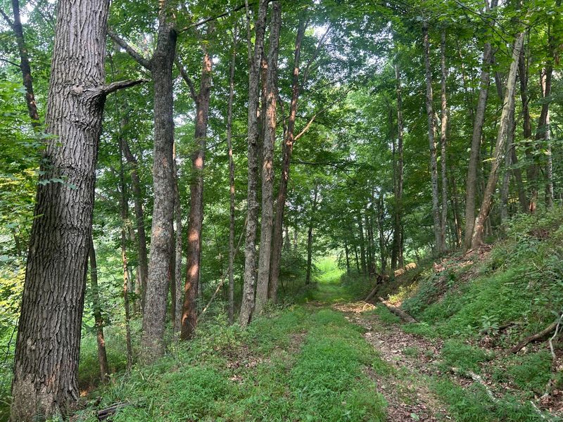 19300 Frampton Road NE, Frazeysburg, OH 43822 Photo 37
