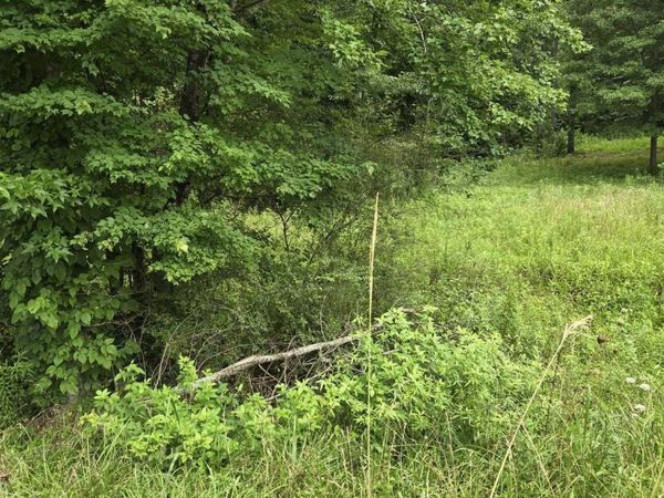 1 Acre Clairmont Springs Road, Lineville, AL 36266