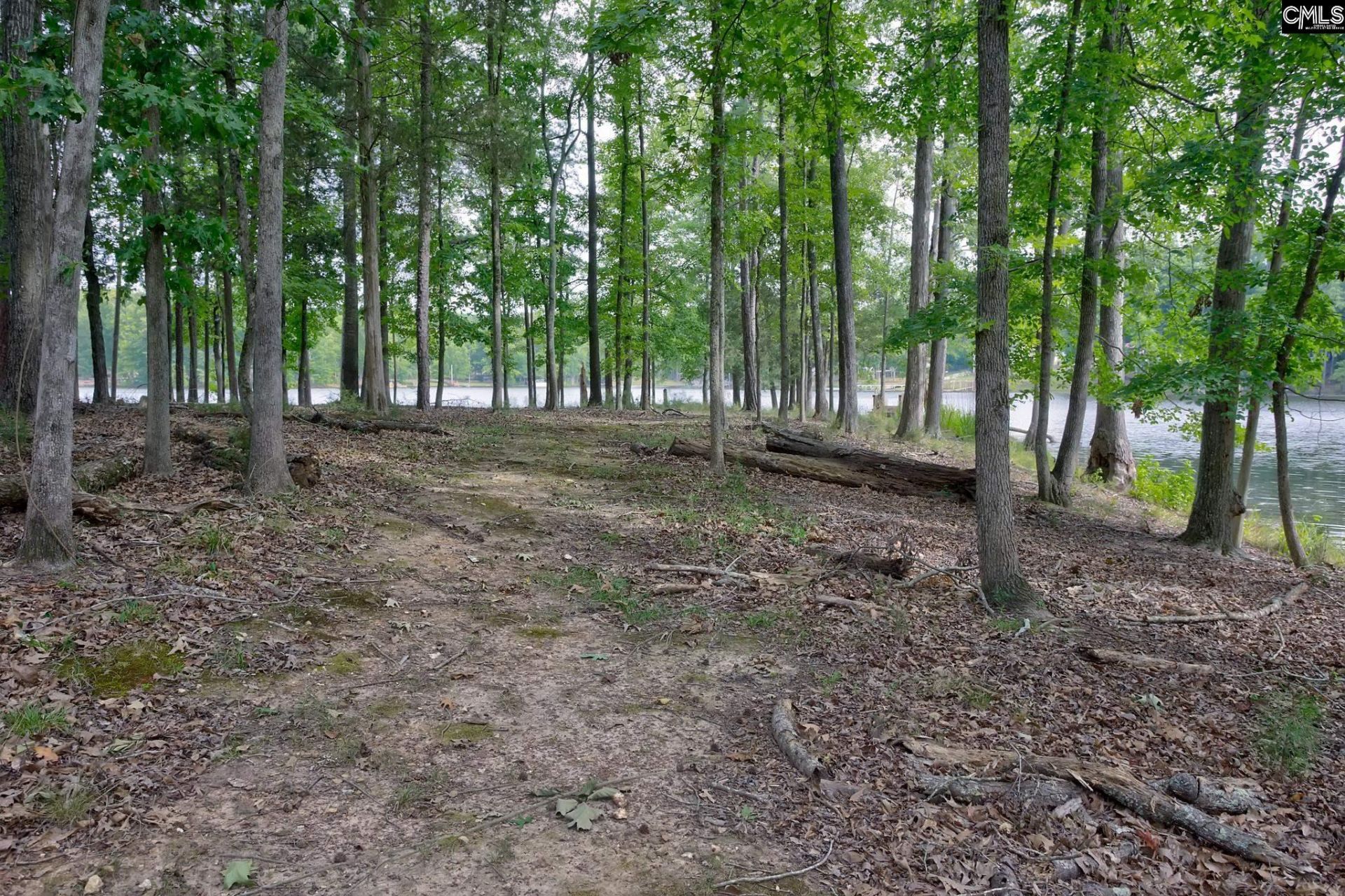 111 Tortoise Trail  Photo 51