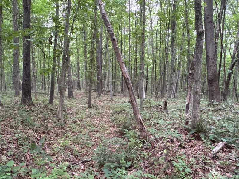 0 Township Road 532, Oak Hill, OH 45656 Photo 9