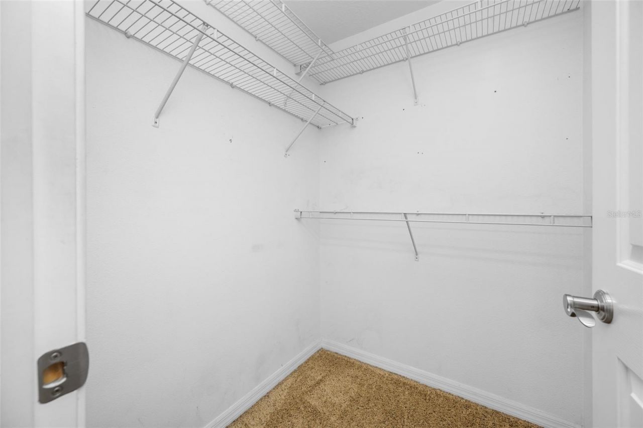 13030 Delwood Road, Tampa, FL 33624 Photo