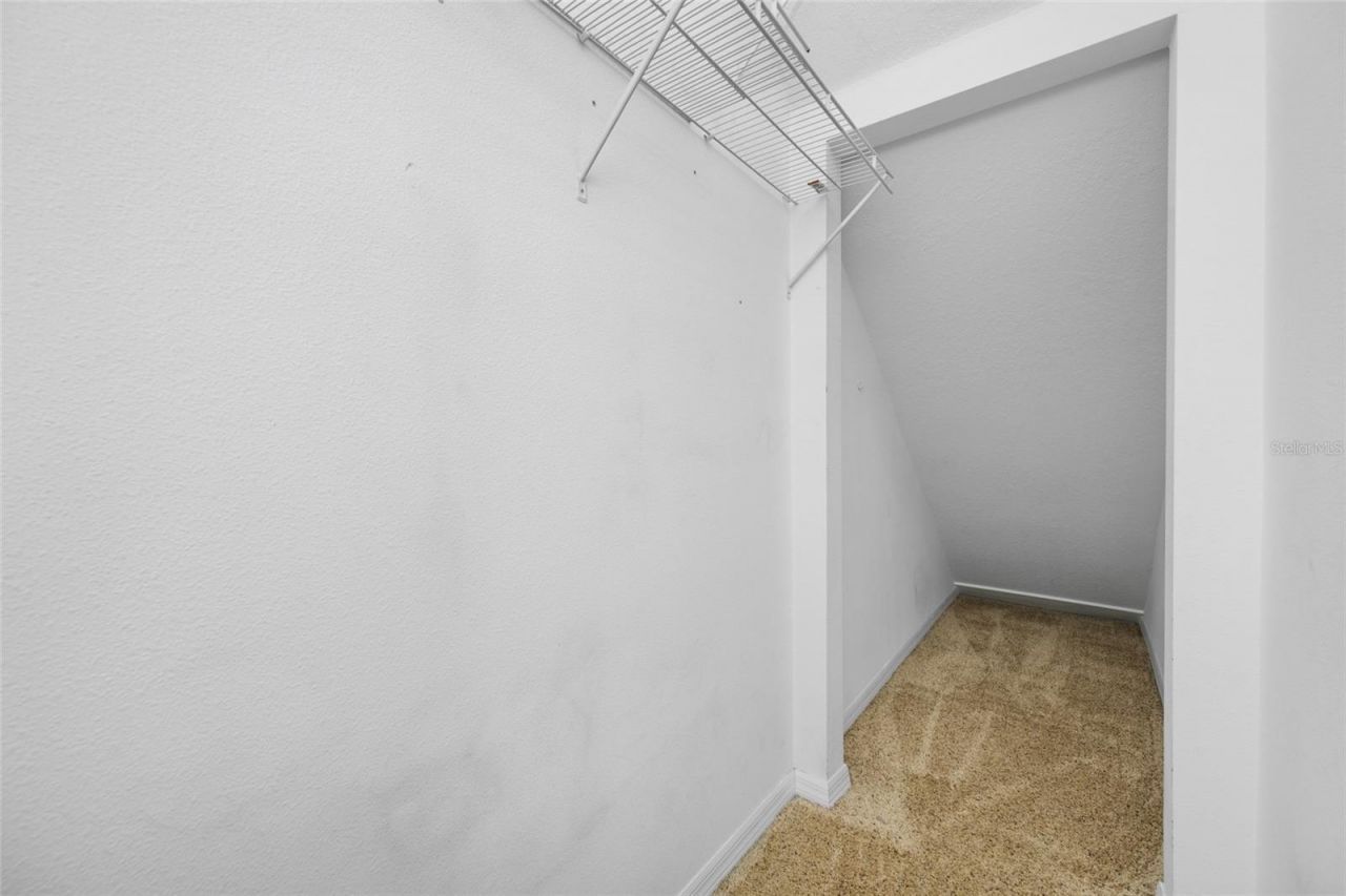 13030 Delwood Road, Tampa, FL 33624 Photo