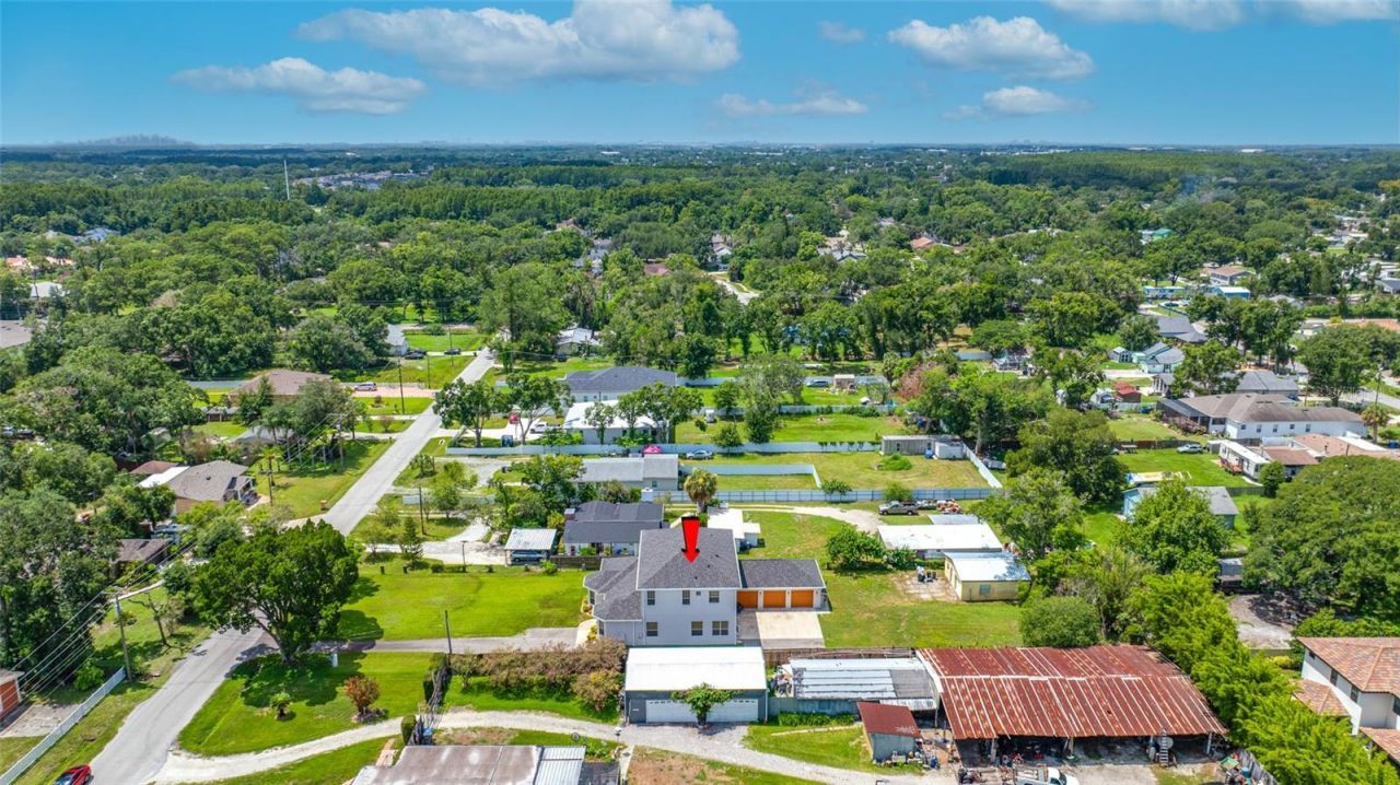 13030 Delwood Road, Tampa, FL 33624 Photo