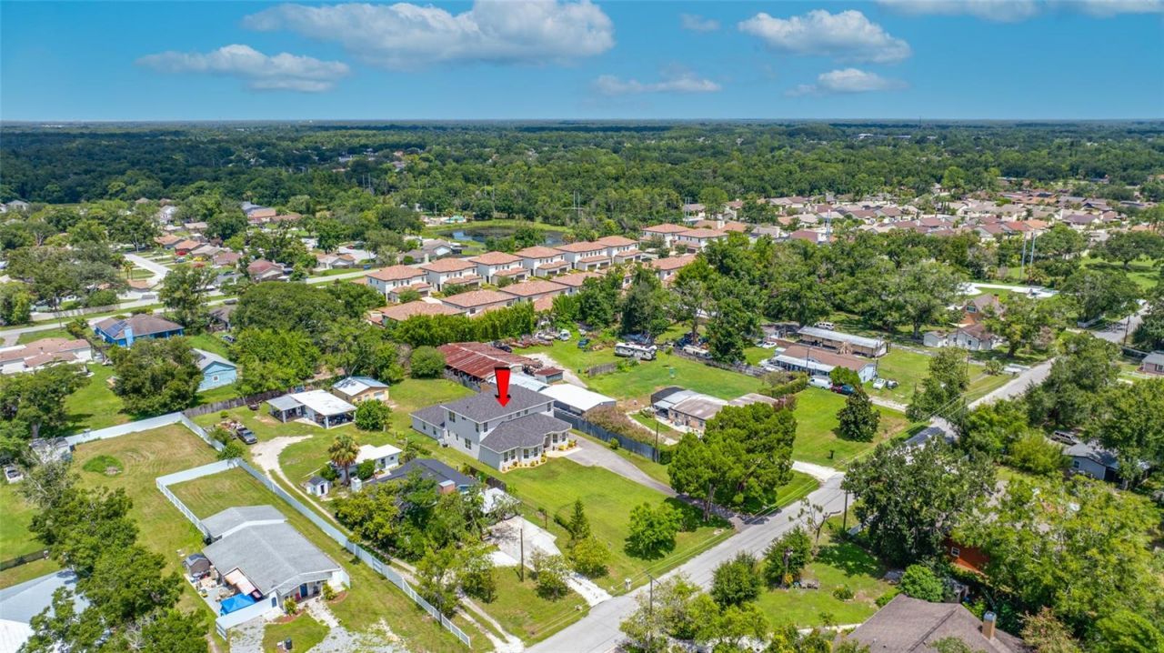 13030 Delwood Road, Tampa, FL 33624 Photo