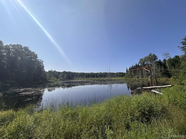 W6425 Leeman Road, Sagola Twp, MI 49881