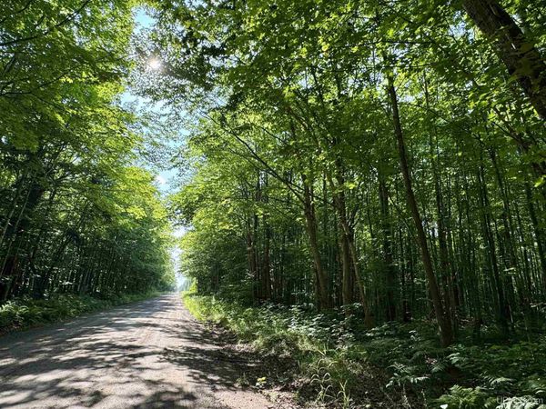 1051 Mangum Road, Chocolay Twp, MI 49855