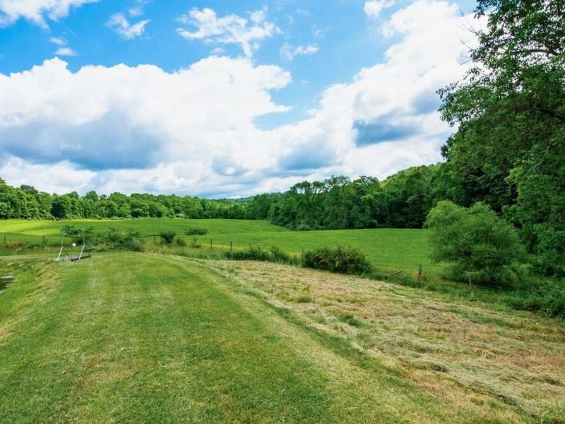 Young Hickory Road, Blue Rock, OH 43720 Photo 13