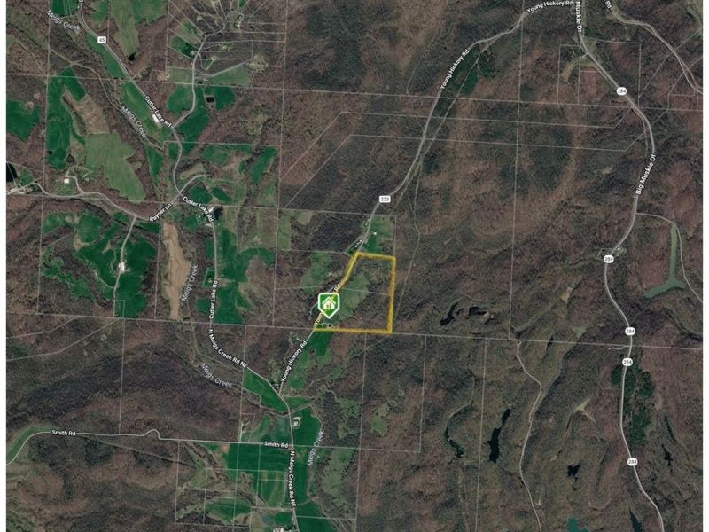 Young Hickory Road, Blue Rock, OH 43720 Photo 3