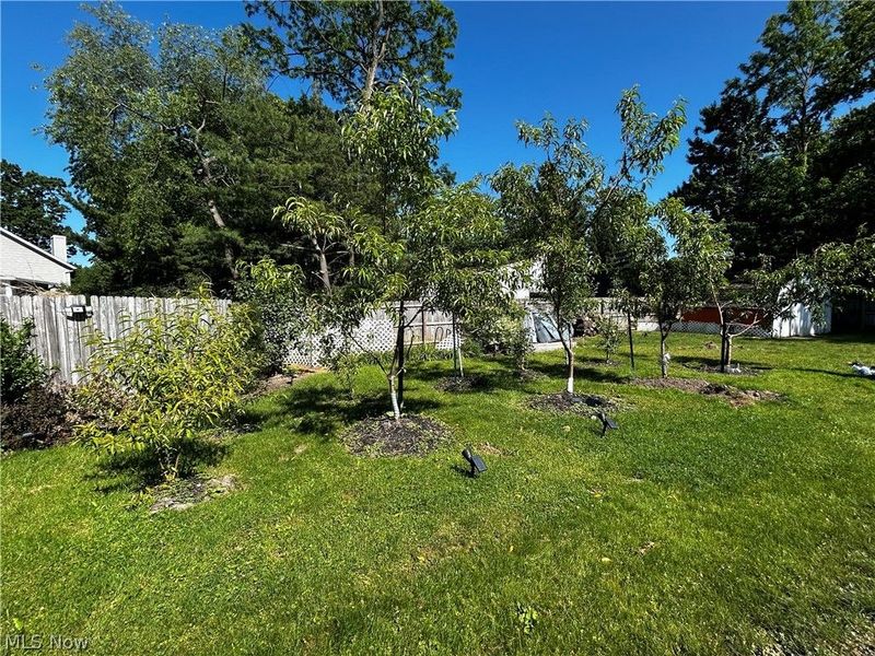 3105 Charles Street, Cuyahoga Falls, OH 44221 Photo 15