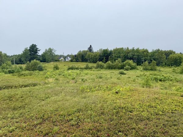 Lot 35 Guzzle Road , Gouldsboro, ME 04607