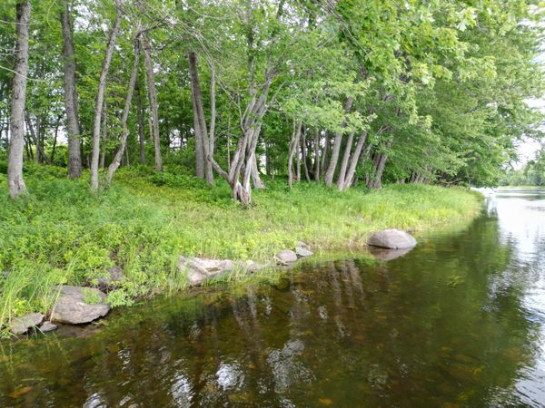 Lot 19 N Chester Road , Chester, ME 04457