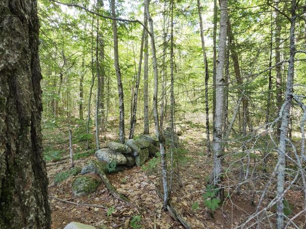 TBD Bridgton Road , Sebago, ME 04029