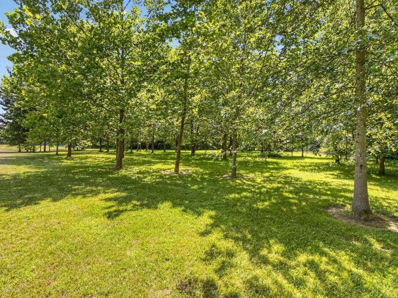 5920 Berger Drive, Stonelick Twp, OH 45122 Photo 42