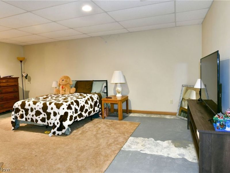 24 Abbington Drive NW, Warren, OH 44481 Photo 43