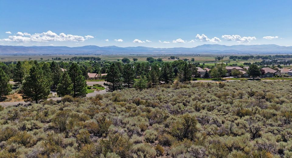 2458 Eagle Ridge Road, Lot #1, Genoa, NV 89411 Photo