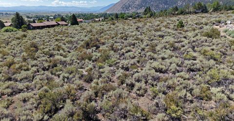 2458 Eagle Ridge Road, Lot #1, Genoa, NV 89411 Photo