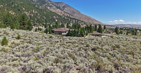 2458 Eagle Ridge Road, Lot #1, Genoa, NV 89411 Photo