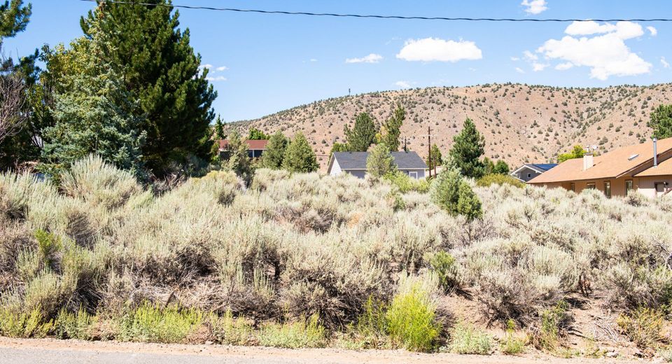 3466 Mark Twain Avenue, Gardnerville, NV 89410 Photo