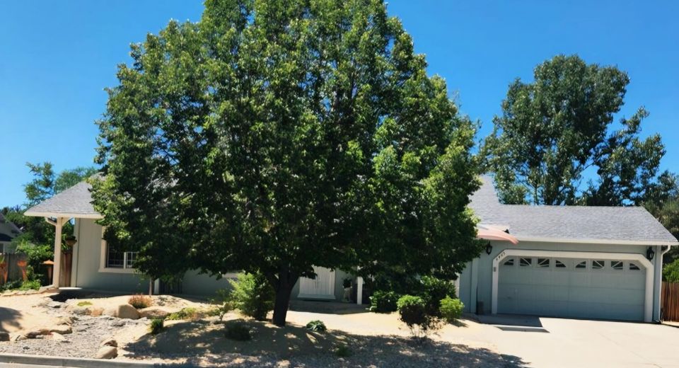 6446 David James Boulevard, Sparks, NV 89436 Photo
