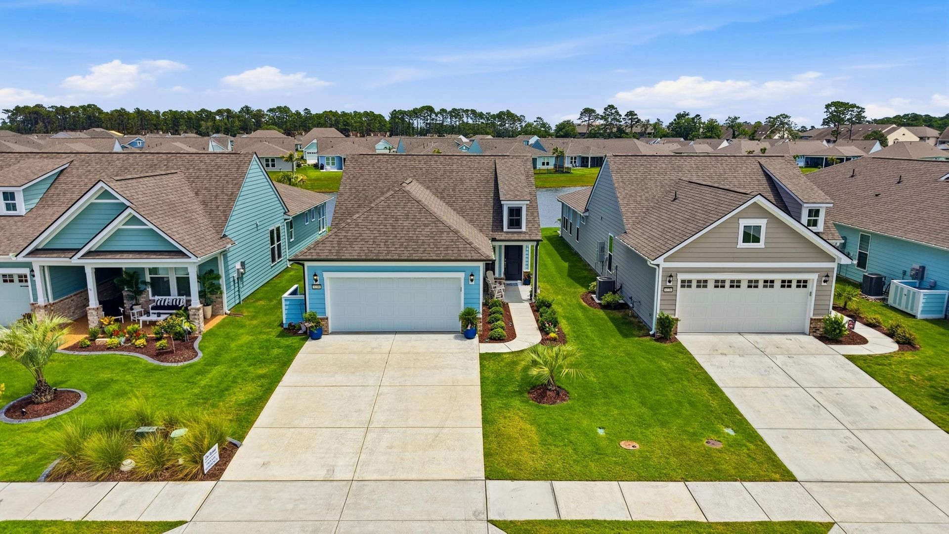 1230 Crested Iris Way Photo 49