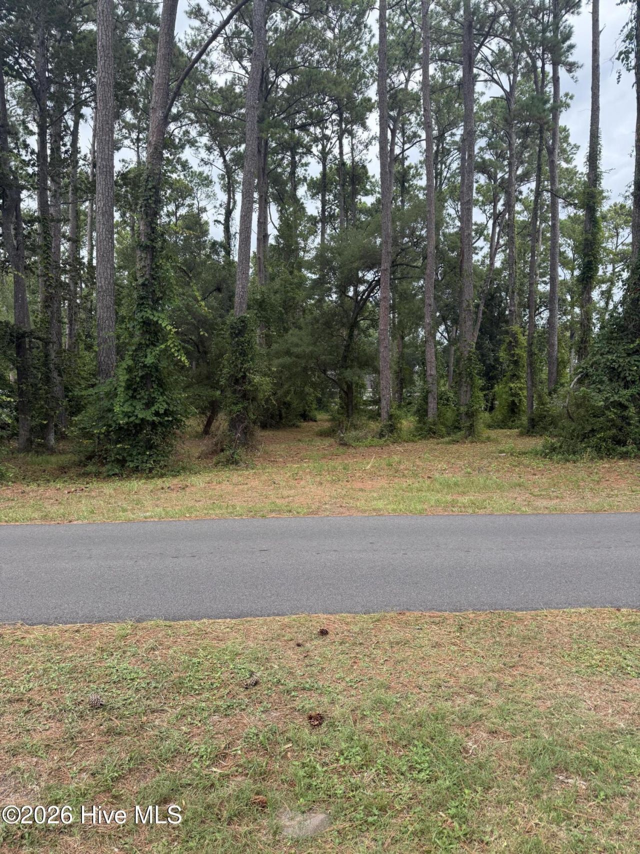 9010 Ocean Harbour Golf Club Drive Sw, Calabash, NC 28467 Main Photo