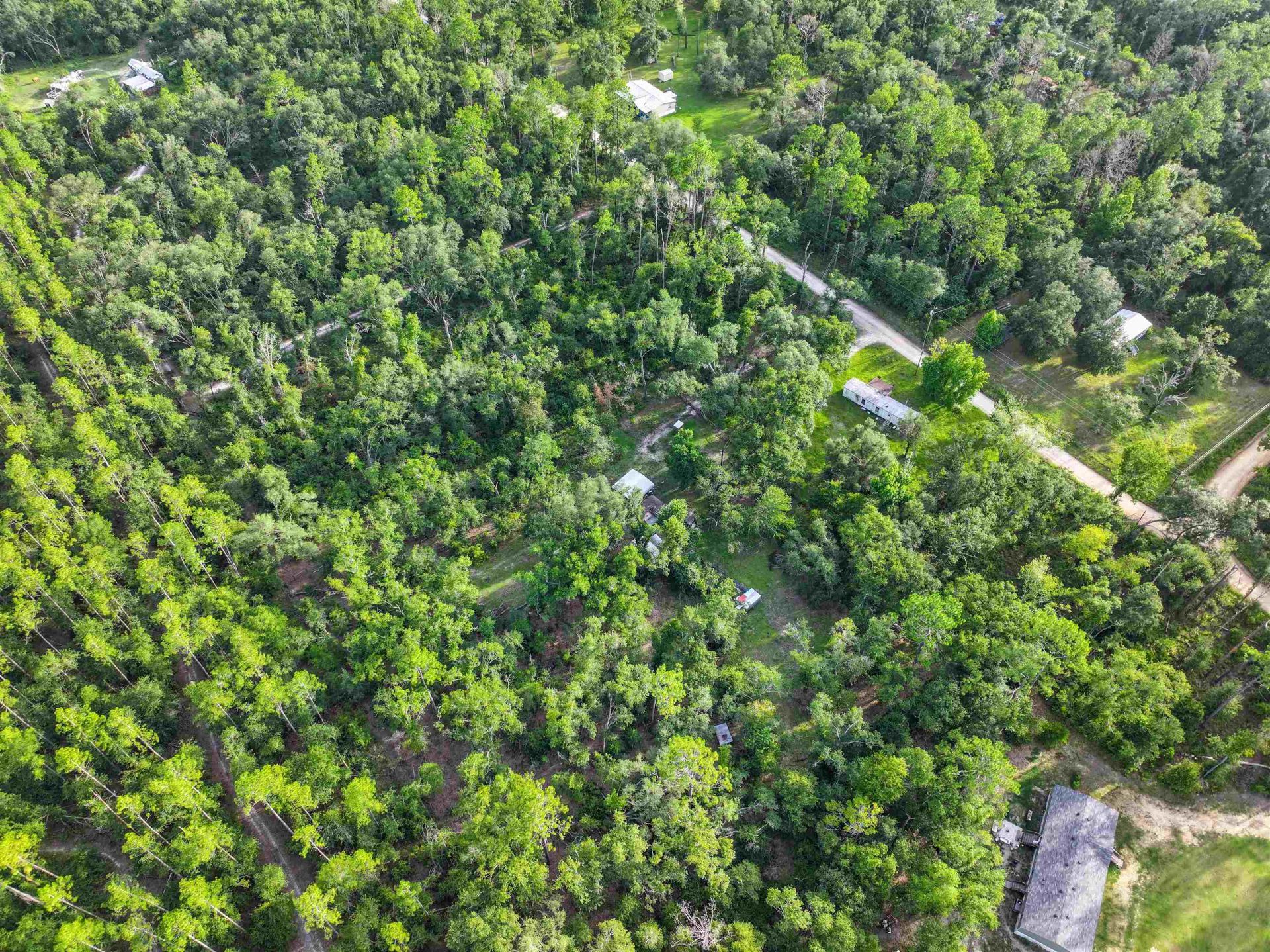 4546 NW 24th Avenue, Jasper, FL 32052 Photo