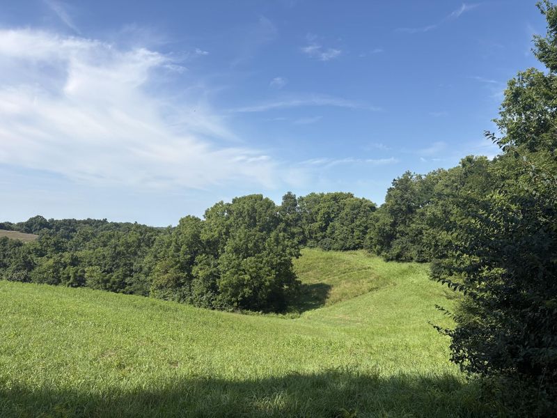 0 Jonesville Road, Dry Ridge, KY 41035 Photo 3