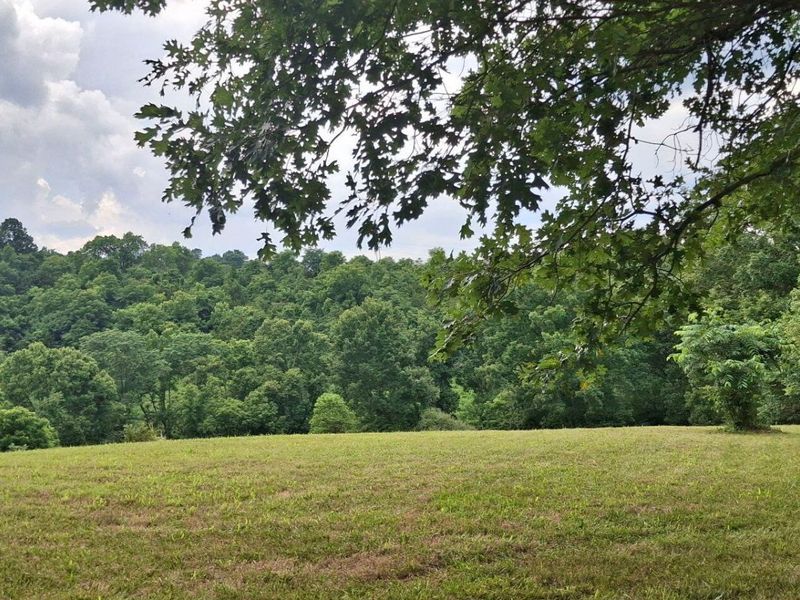 0 Jonesville Road, Dry Ridge, KY 41035 Photo 4