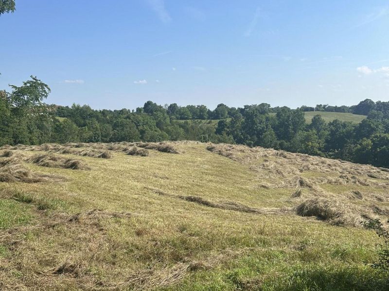 0 Jonesville Road, Dry Ridge, KY 41035 Photo 6