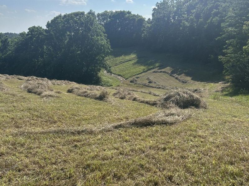 0 Jonesville Road, Dry Ridge, KY 41035 Photo 7