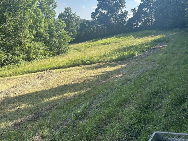 0 Jonesville Road, Dry Ridge, KY 41035 Photo 9