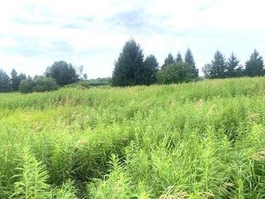 Rockbrook Estates Rd Road , Evans Mills, NY 13637
