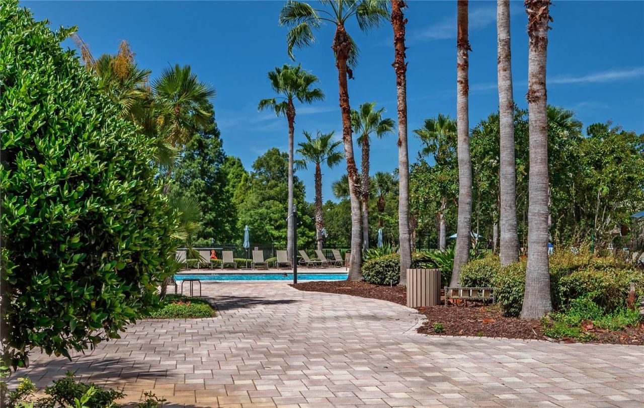 4342 O Rourke Court, Wesley Chapel, FL 33543 Photo