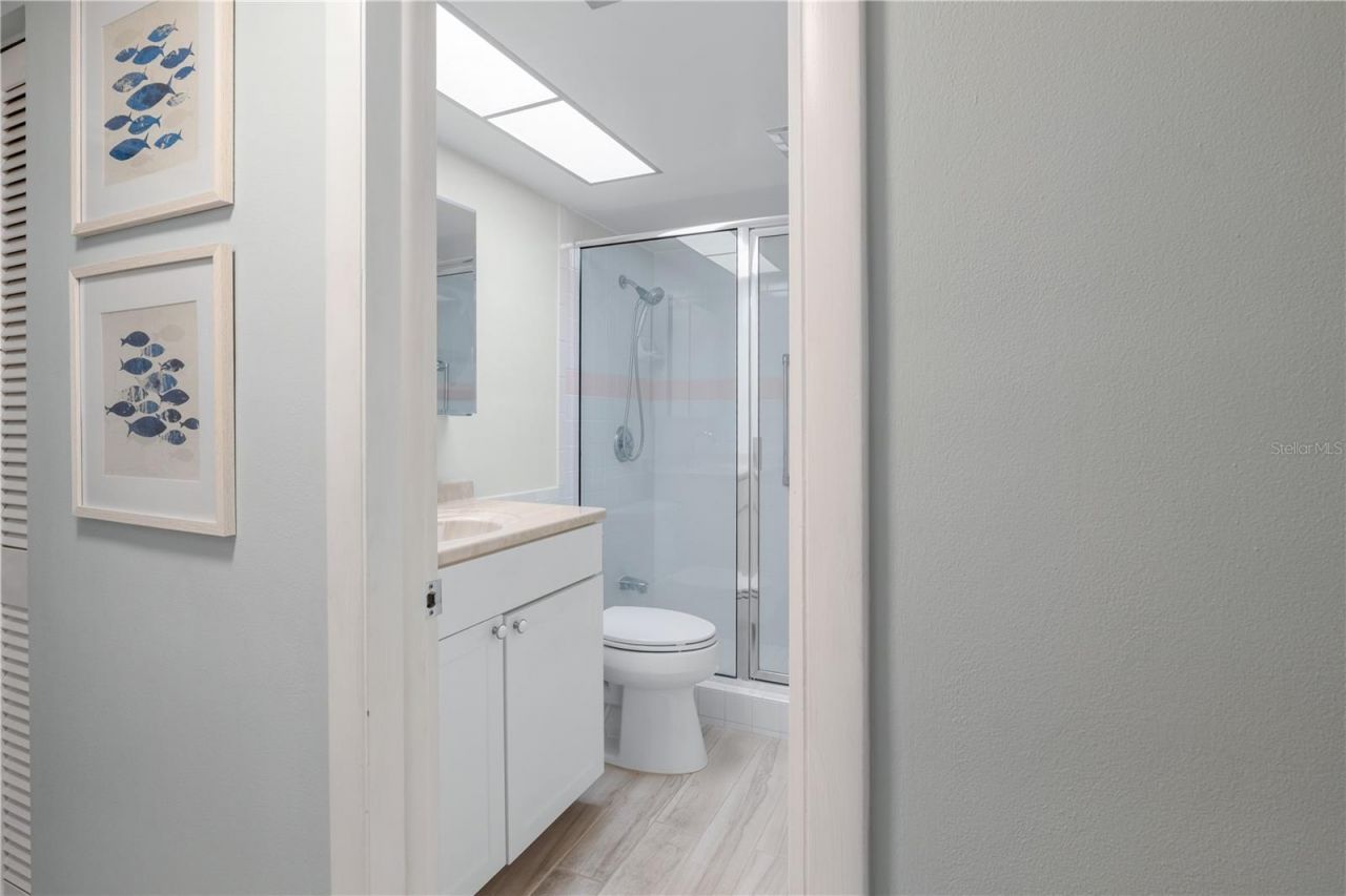 7801 11th Street N, Unit 302, Saint Petersburg, FL 33702 Photo