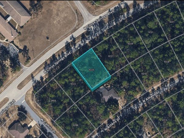 9225 N CITRUS SPRINGS BOULEVARD , CITRUS SPRINGS, FL 34433