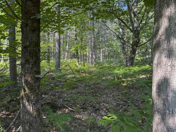 TBD East Side Drive, Beaver Island, MI 49782