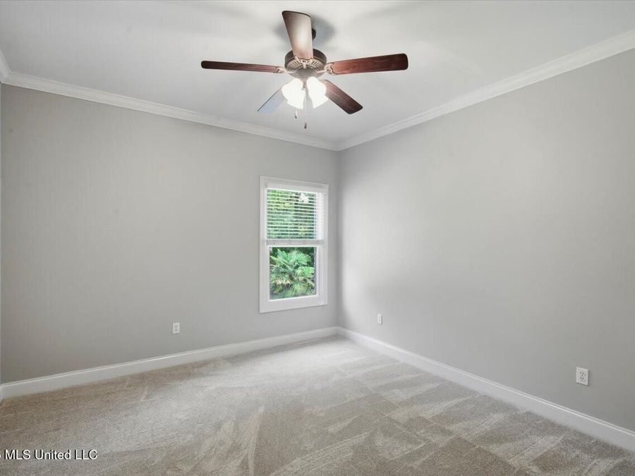 Property Image 65