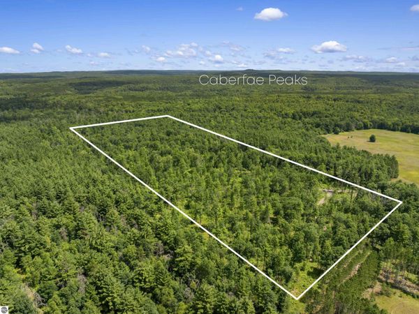 30 48 1/2 Road W, Wellston, MI 49689
