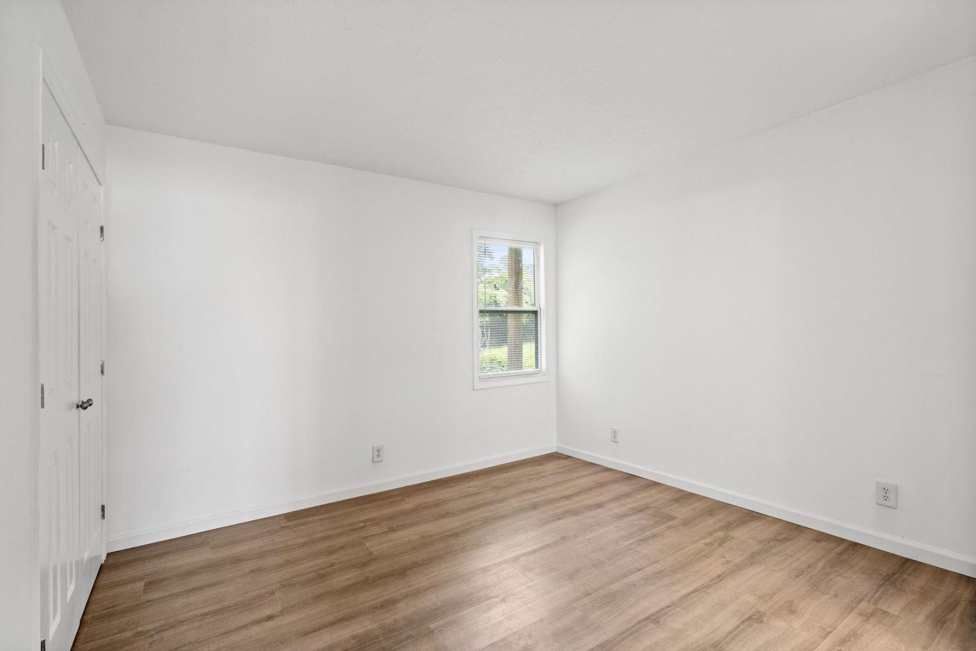 209 Cedar St.  Photo 15