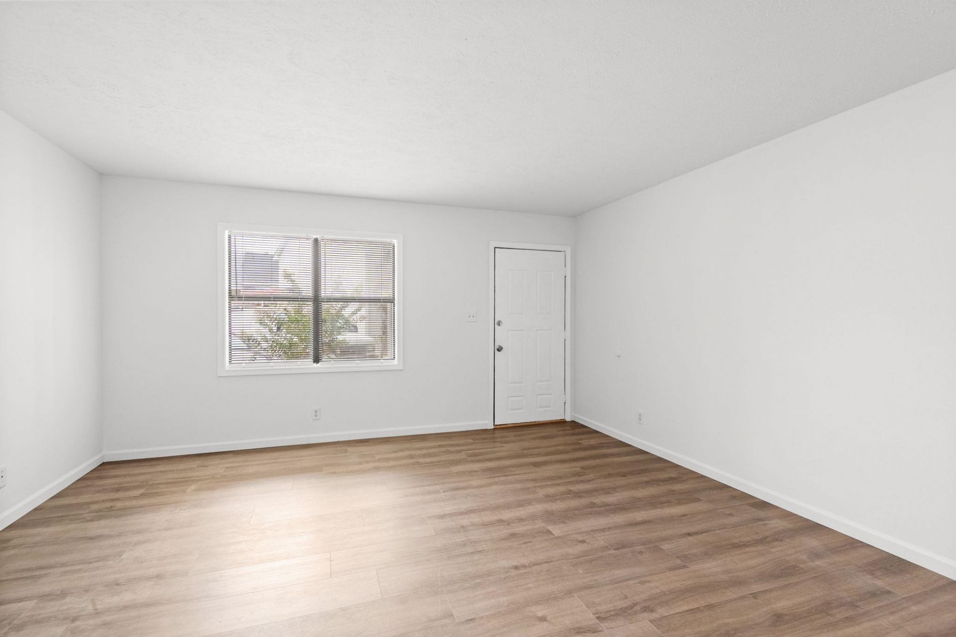 209 Cedar St.  Photo 5