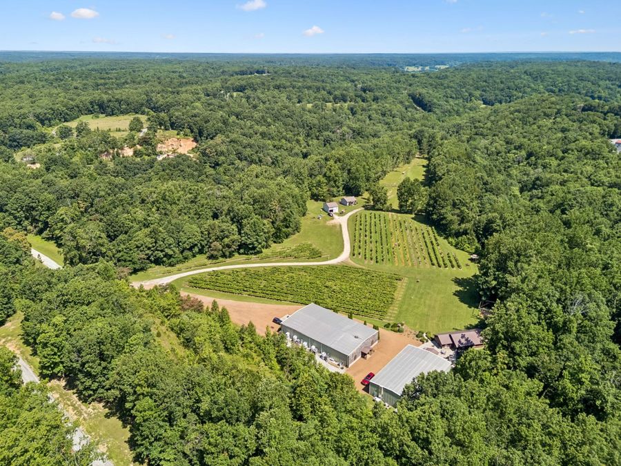 Property Image 50