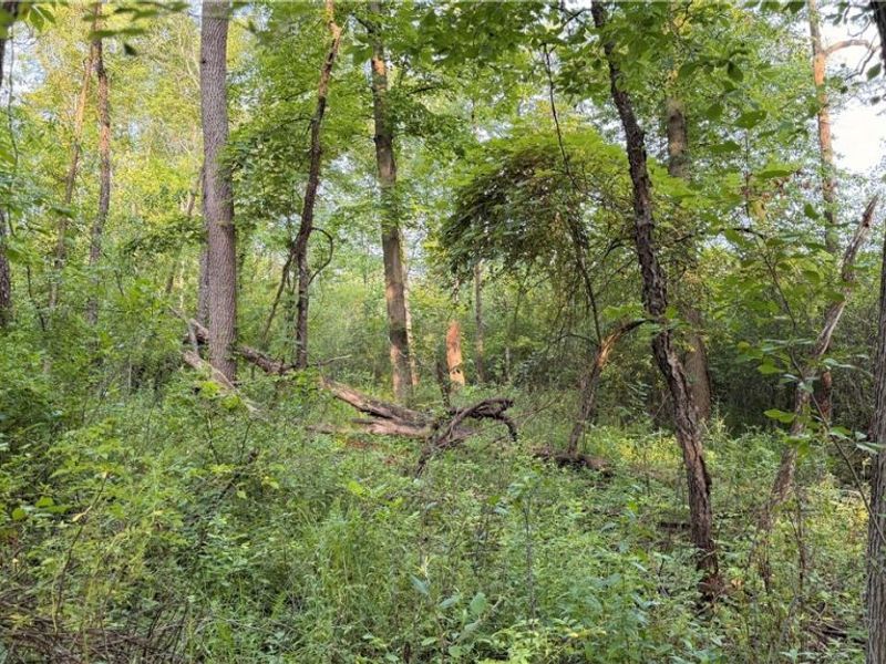St Route 43, Streetsboro, OH 44241 Photo 34