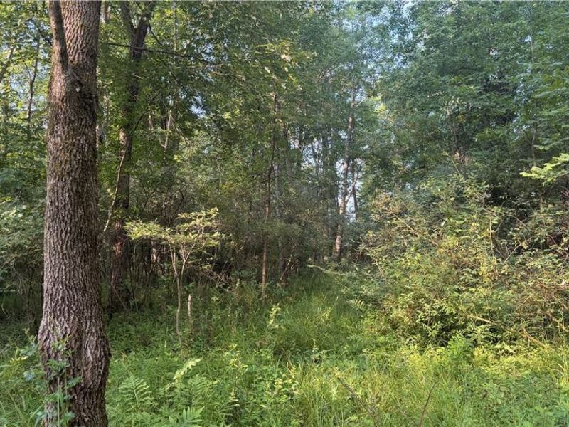 St Route 43, Streetsboro, OH 44241 Photo 38