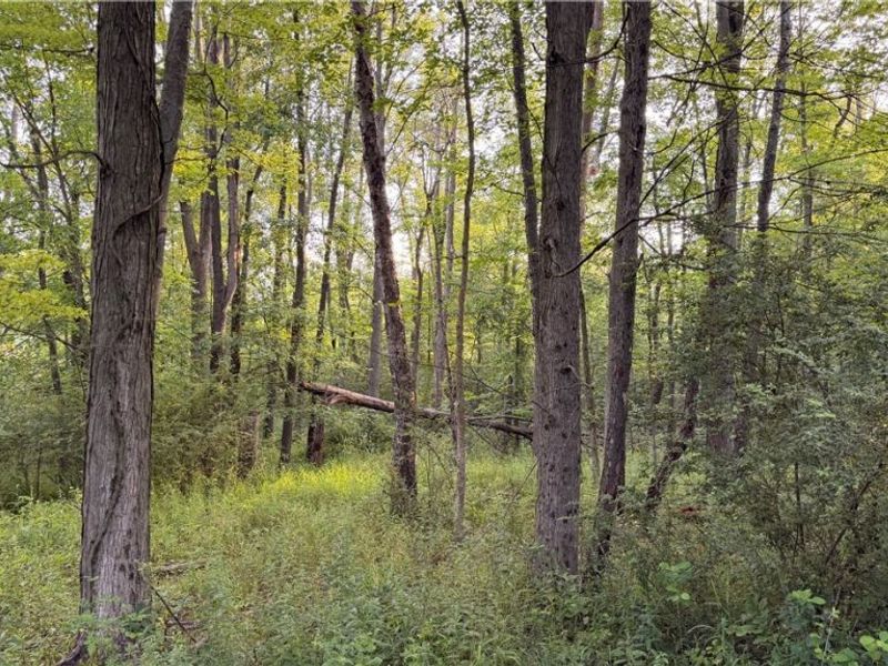 St Route 43, Streetsboro, OH 44241 Photo 5