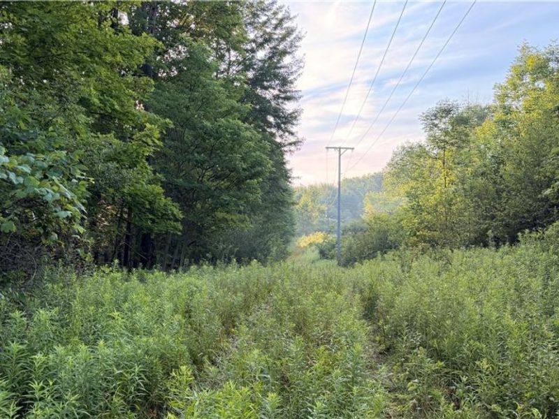 St Route 43, Streetsboro, OH 44241 Photo 6