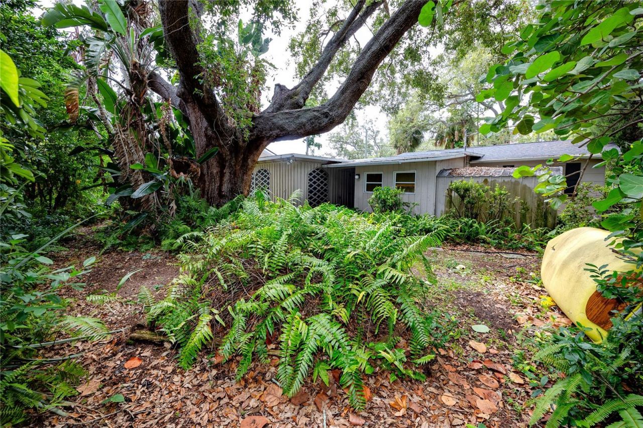 8161 22nd Avenue N, Saint Petersburg, FL 33710 Photo