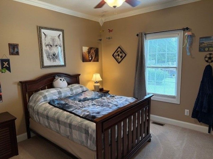 Property Image 73