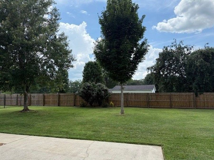 Property Image 82